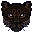 leopard panther