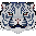 tiger white
